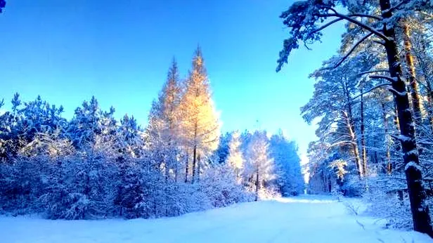 Magia zimowych pejzaży: inspirujące cytaty o górach zimą