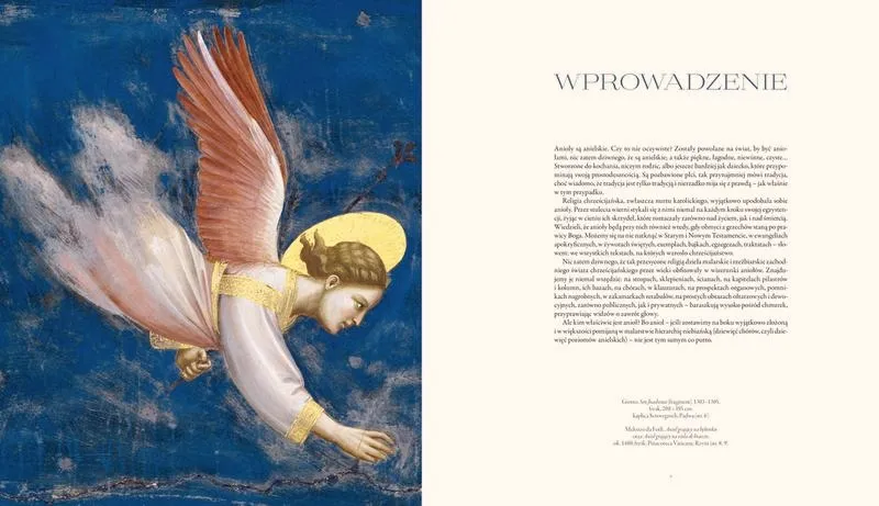 Test z lektury „Tam, gdzie spadają anioły” – pytania i odpowiedzi