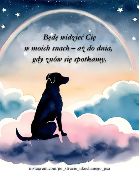 Cytaty o stracie psa