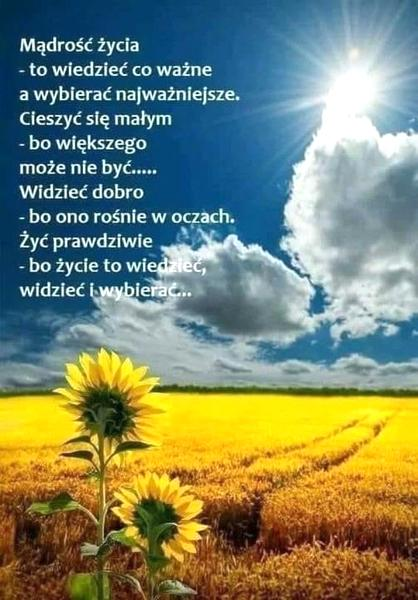 Cytaty o szczęściu