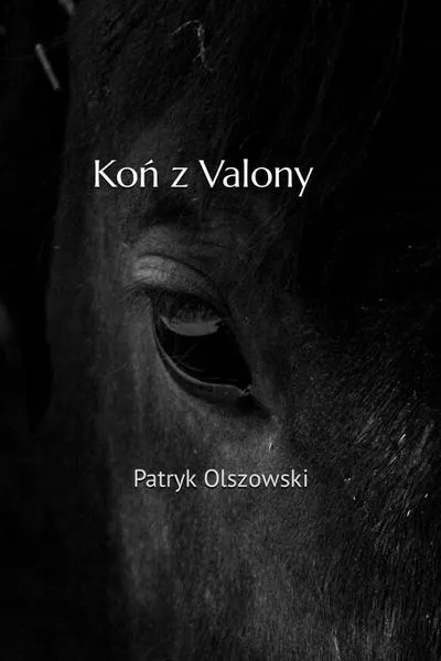 Fenomen memów w literaturze