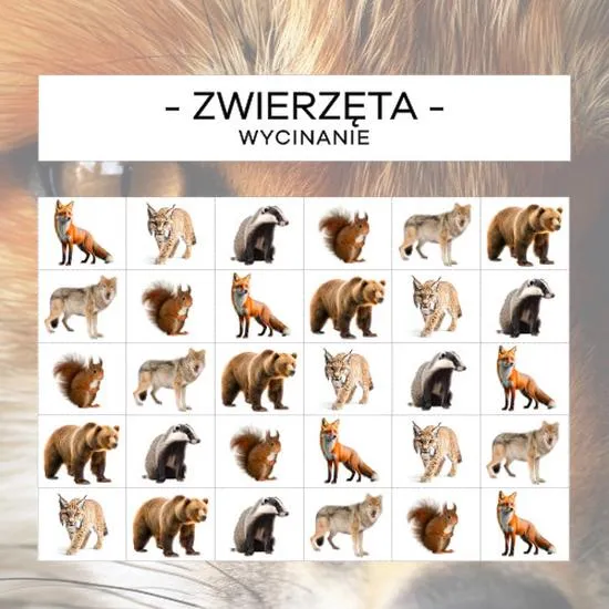 Najlepsze książki o zwierzętach