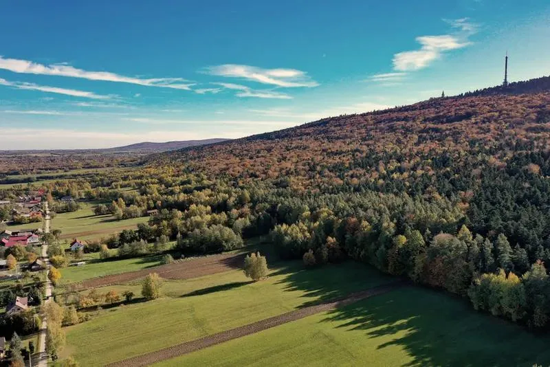 Przewodnik po regionie