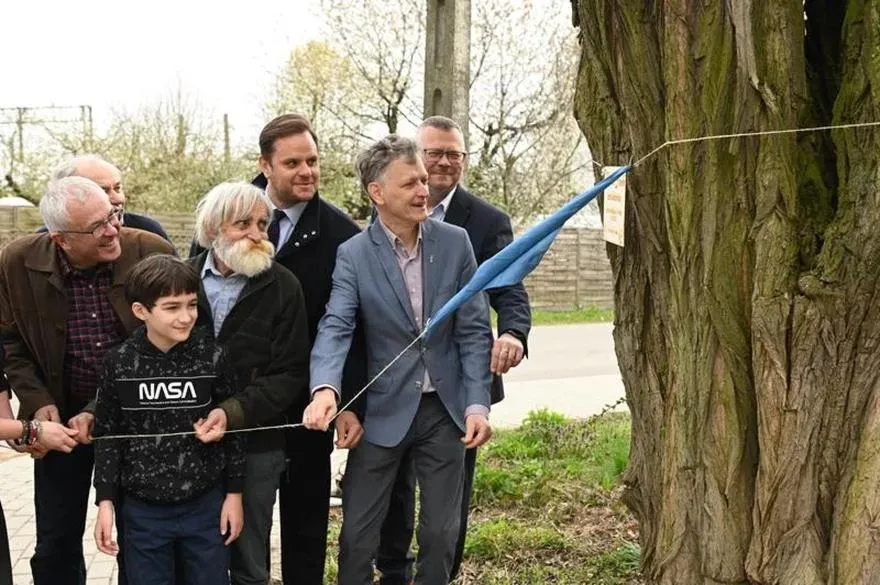 Wiersze Anny Kamieńskiej