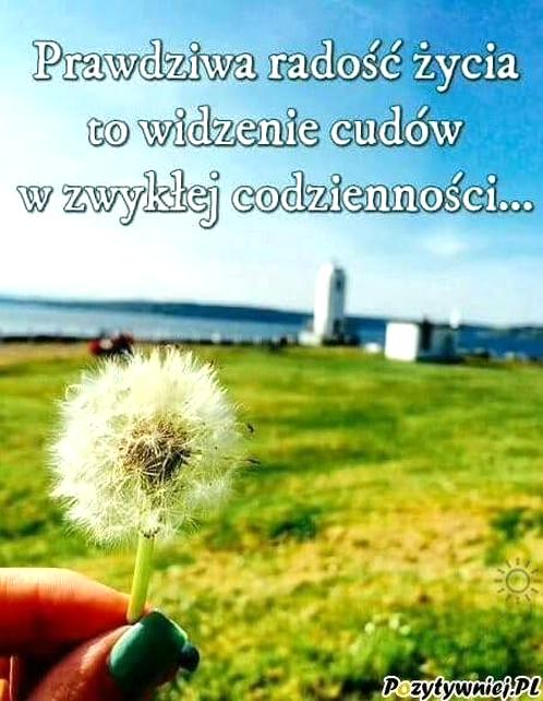Wiersze znanych poetów
